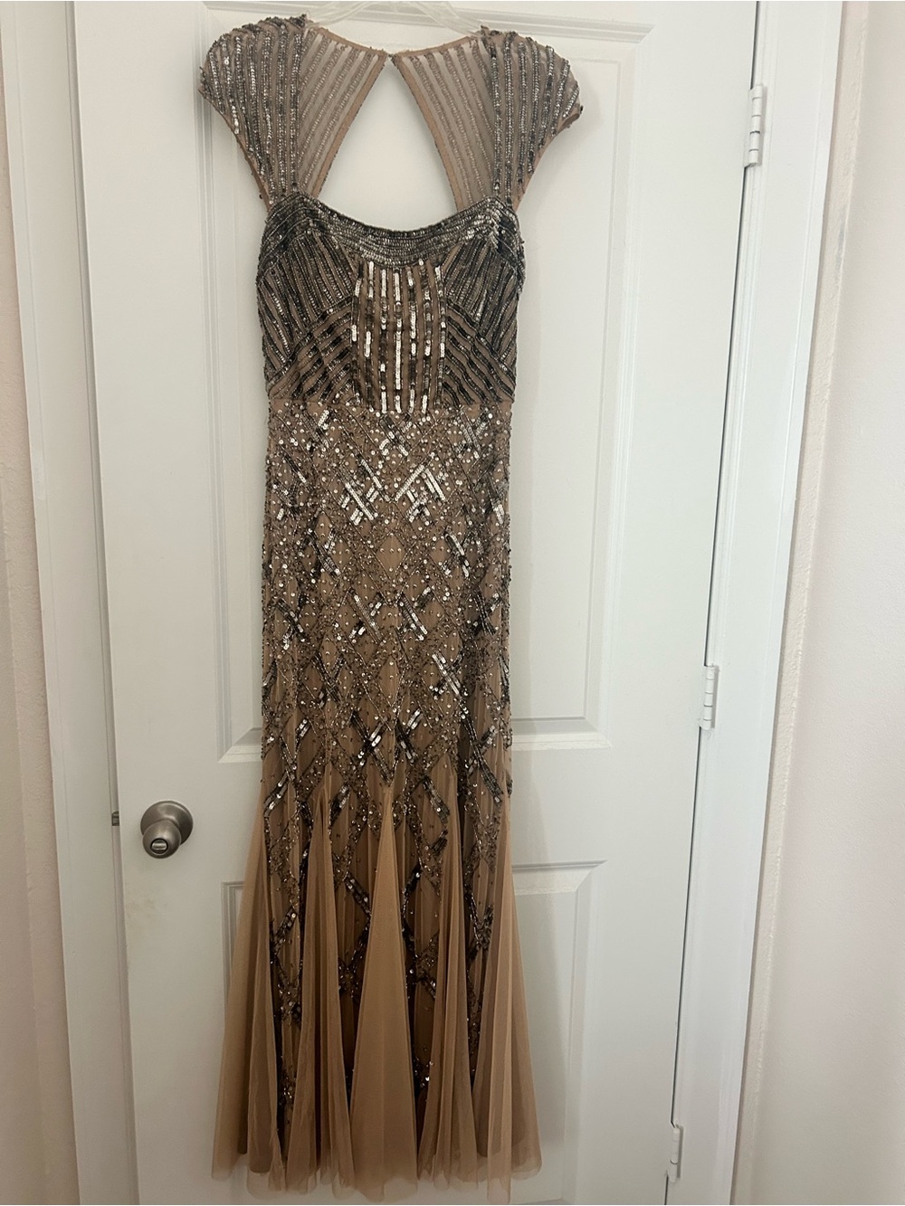Adrianna Papell Nude Beaded Gown